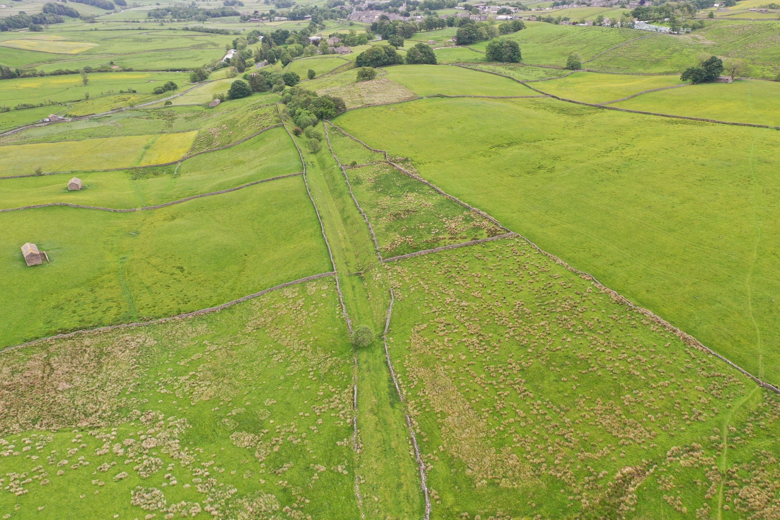 Rail campaigners criticise plan to turn old Dales rail route into a footpath