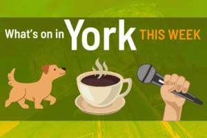 What’s on in York this week