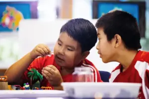 How LEGO® Therapy Is Reaching the World: The Global Power of Play Included’s Training Network