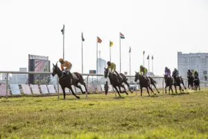 How to Spend a Day at the York Racecourse