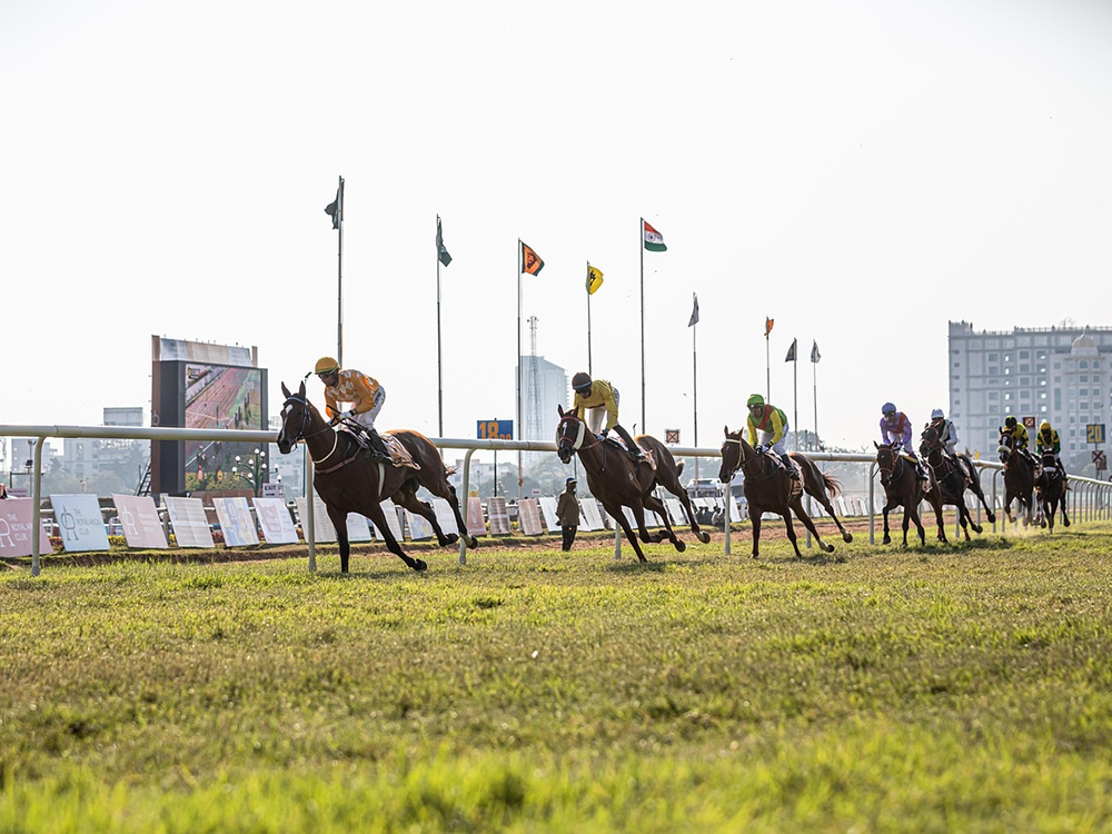 How to Spend a Day at the York Racecourse