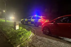 Driver dies after car hits tree near Harrogate