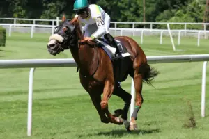 York’s Old Betting Tales: From Race Days to Phone Apps