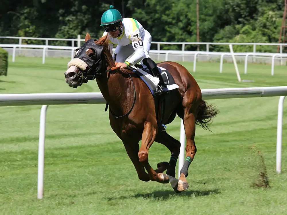 York’s Old Betting Tales: From Race Days to Phone Apps