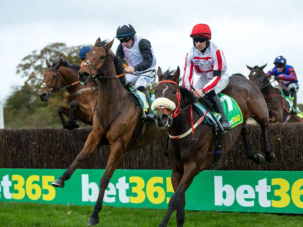 Racing: Can The Real Whacker hit the heights again at Wetherby?