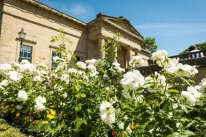 York Museum Gardens wins top award for second year running