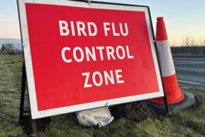 Bird Flu spreads across North Yorkshire