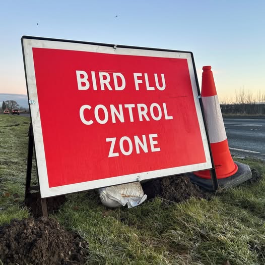 Bird Flu spreads across North Yorkshire
