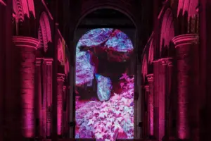 Spectacular installation to light up Selby Abbey – and here’s how you can get involved