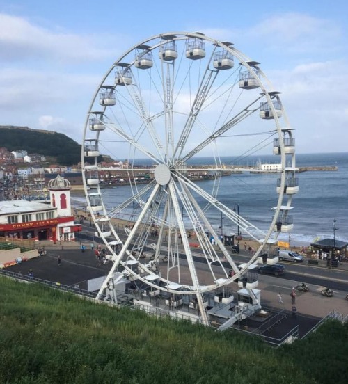 Ferris wheel set to open all year