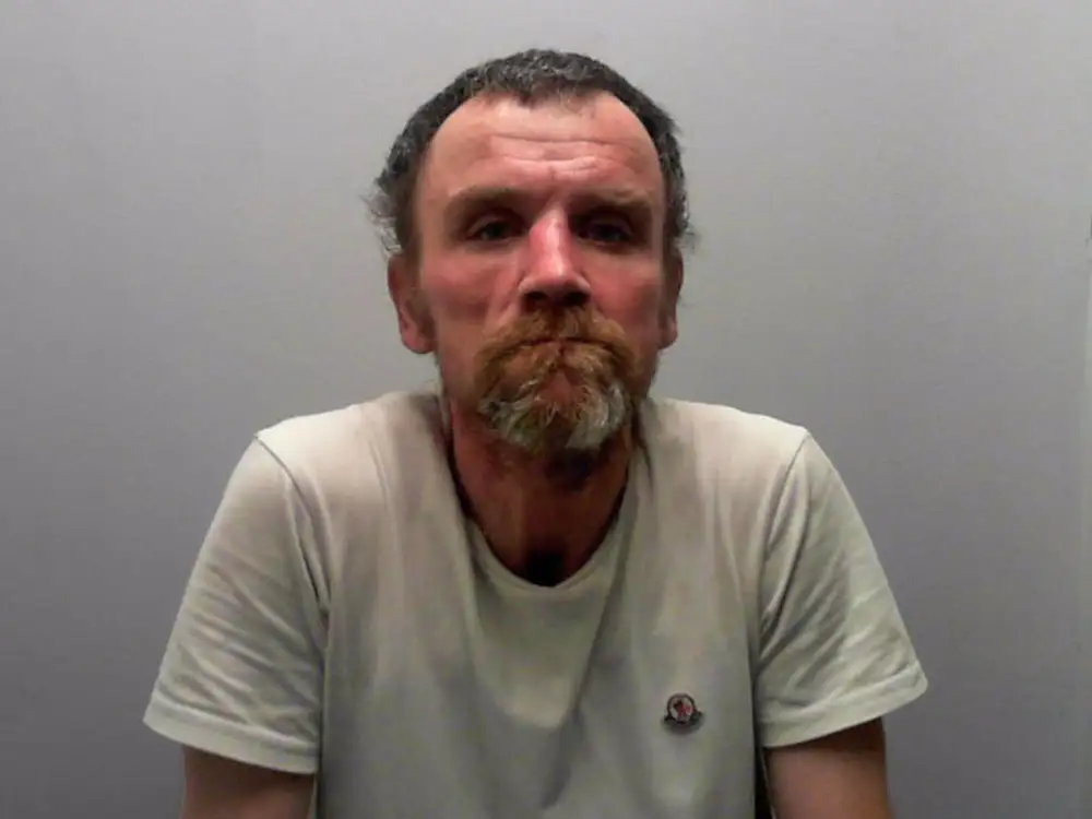 Man arrested in York and charged with seven offences