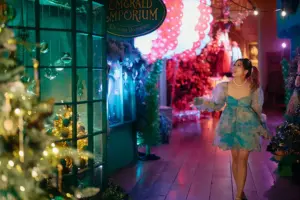 Video and pictures: Castle Howard reveals Wizard of Oz Christmas 2025 extravaganza