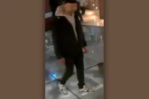 Child ‘assaulted’ at top York attraction