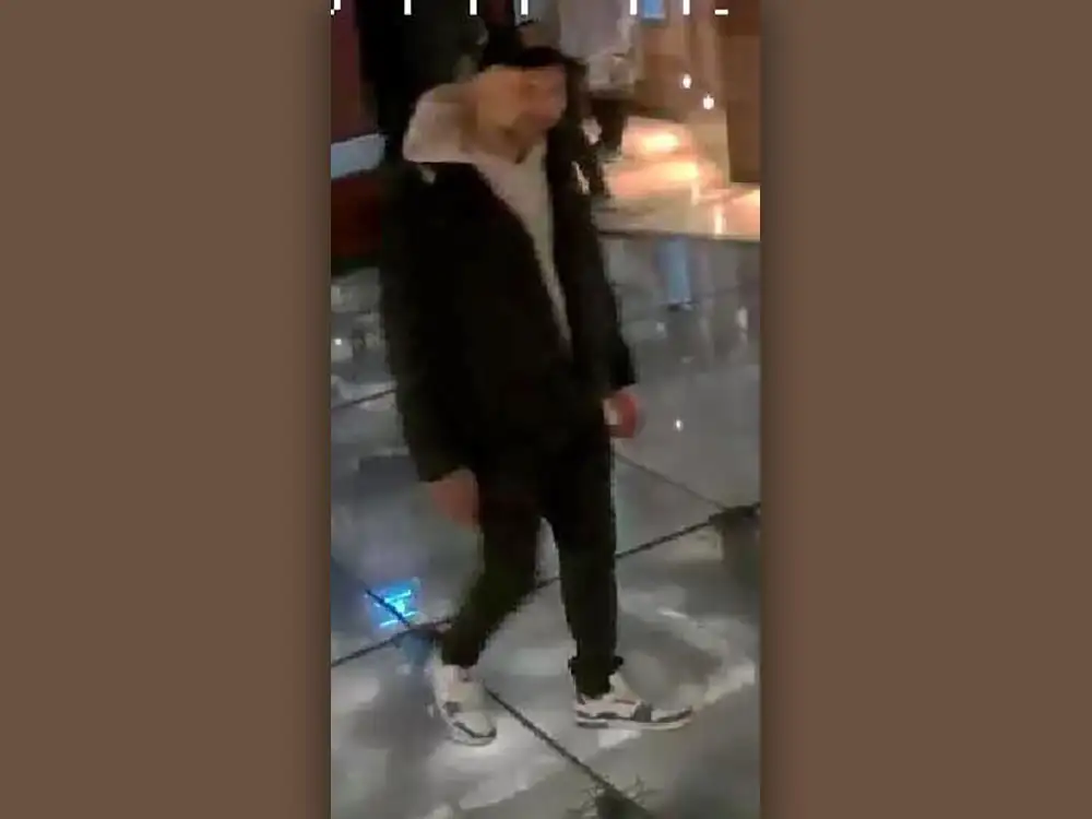 Child ‘assaulted’ at top York attraction