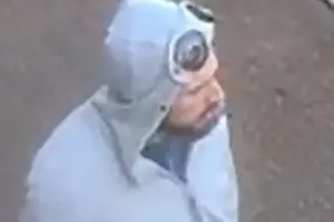 Police issue image after theft at York library