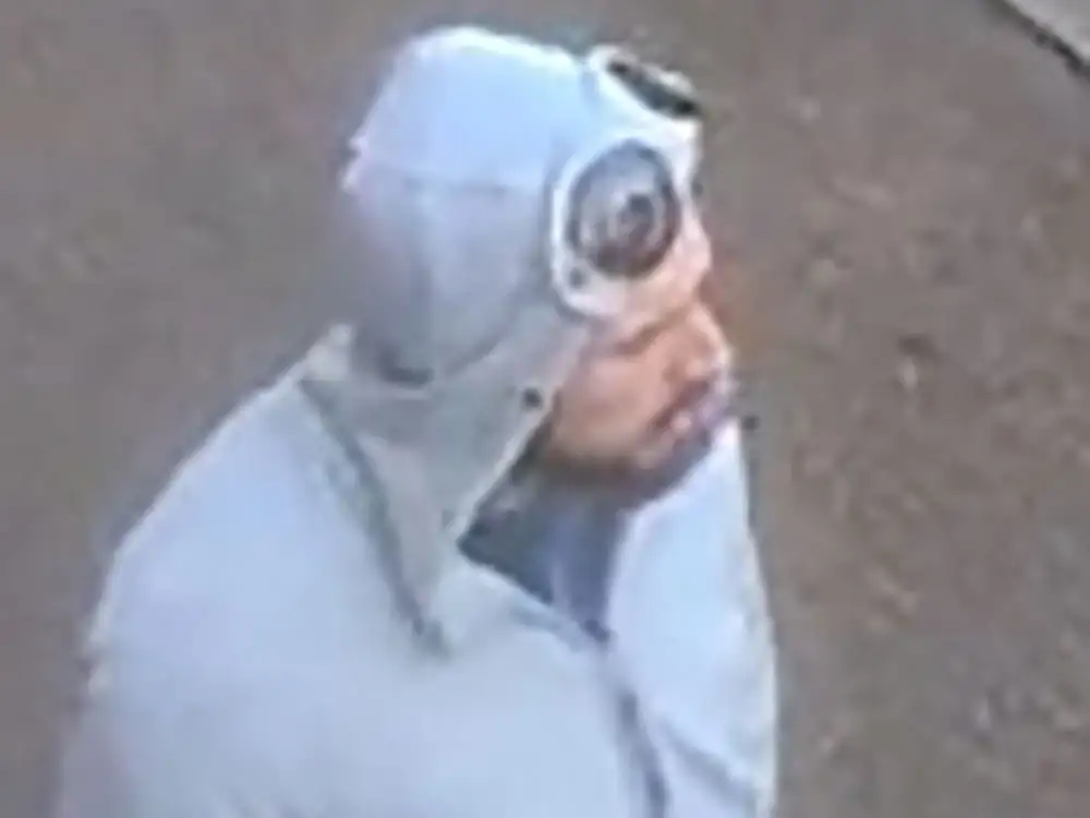 Police issue image after theft at York library