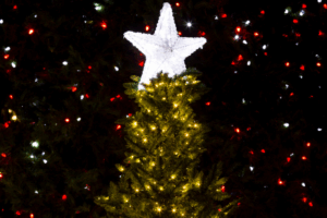 Christmas light switch-ons guide 2025 for York and North Yorkshire