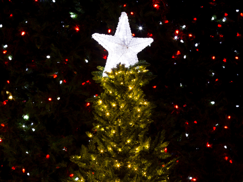 Christmas light switch-ons guide 2025 for York and North Yorkshire