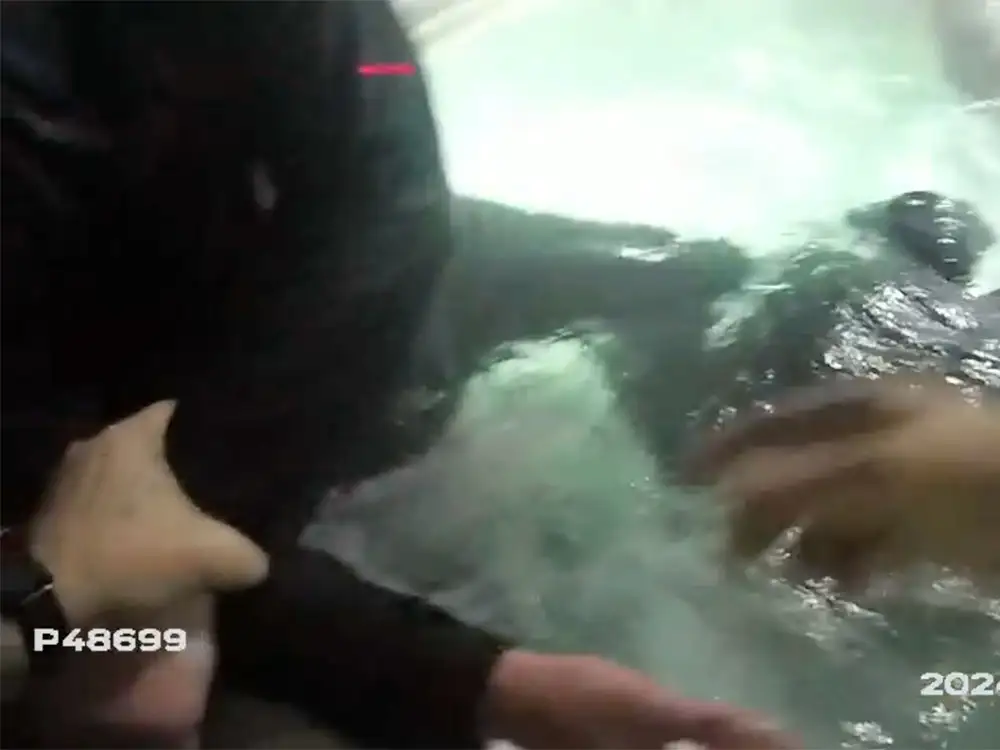 Watch: Gang members found hiding in hot tub after terrifying North Yorkshire burglary