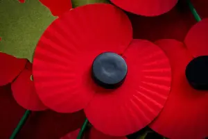 York poppy displays spark row, with Royal British Legion speaking out