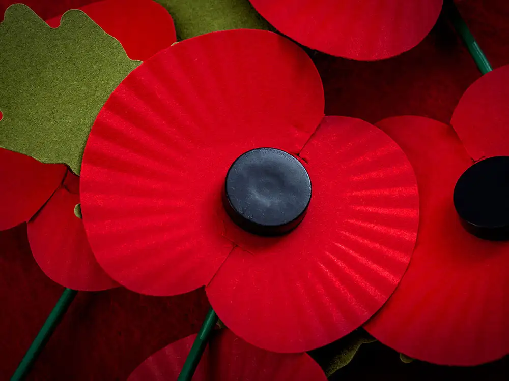 York poppy displays spark row, with Royal British Legion speaking out