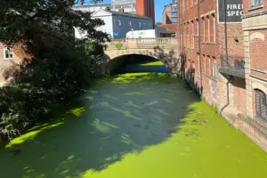 ‘It’s heart-breaking’: York river one of worst in Europe for chemical pollution