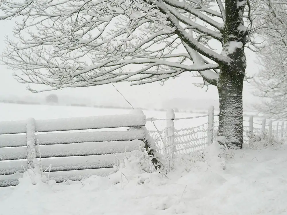snow-north-york-moors-20-nov-2025-13-pa
