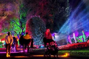 Free Winter Wonderland returns with a snow machine