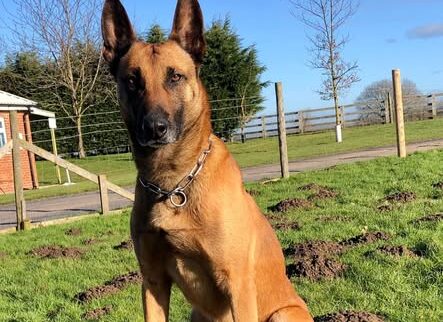 Police pay tribute to Buzz