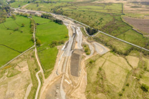 Don’t blame the lizards for £11.7m bypass overspend, say Green councillors