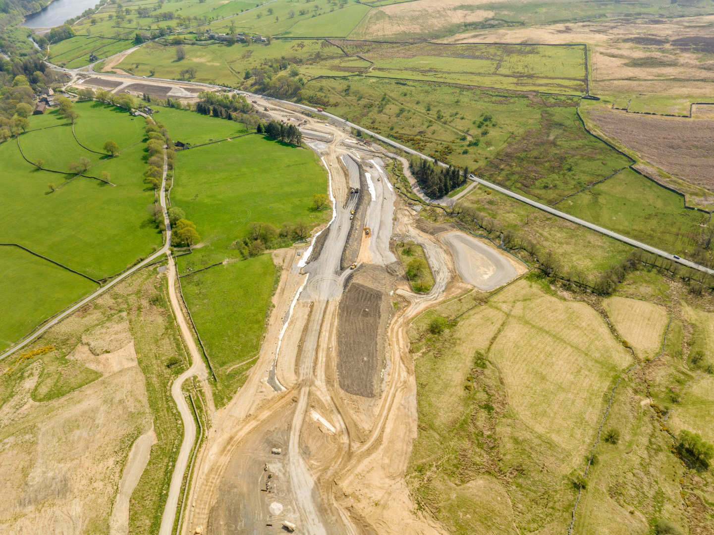 Don’t blame the lizards for £11.7m bypass overspend, say Green councillors