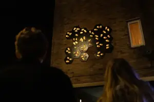 Illuminated bees have swarmed into York for new street art project