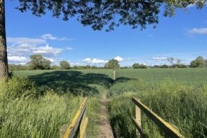 Over 400 objections to solar farm plans