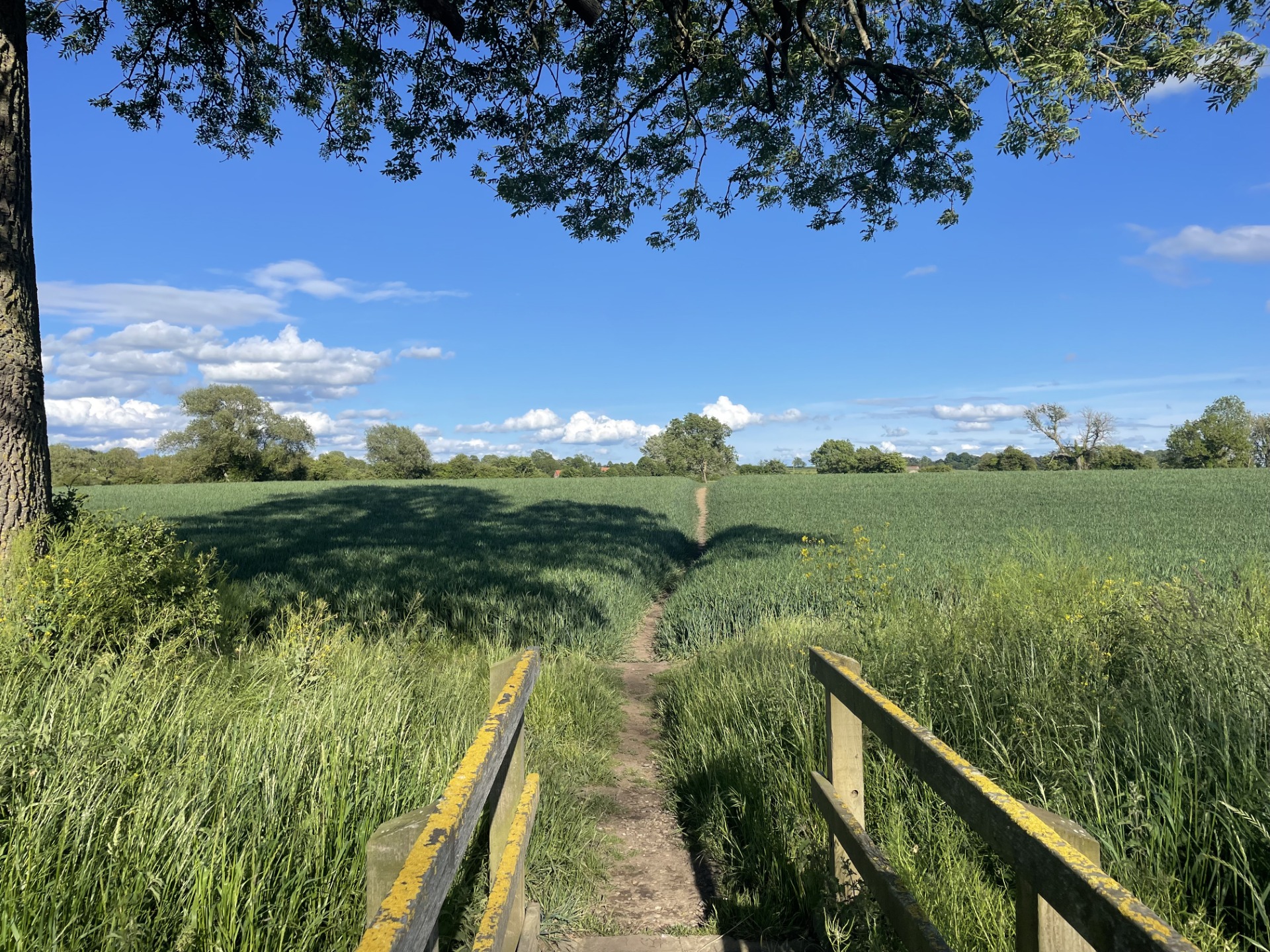 Over 400 objections to solar farm plans
