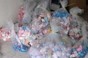 Warning as fake Labubu toys seized in North Yorkshire