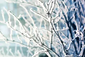 Another weather warning issued for parts of North Yorkshire
