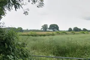 ‘Important hedge’ should not be ripped out at North Yorkshire farm, says expert