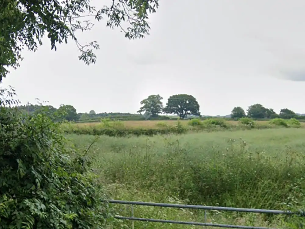 ‘Important hedge’ should not be ripped out at North Yorkshire farm, says expert