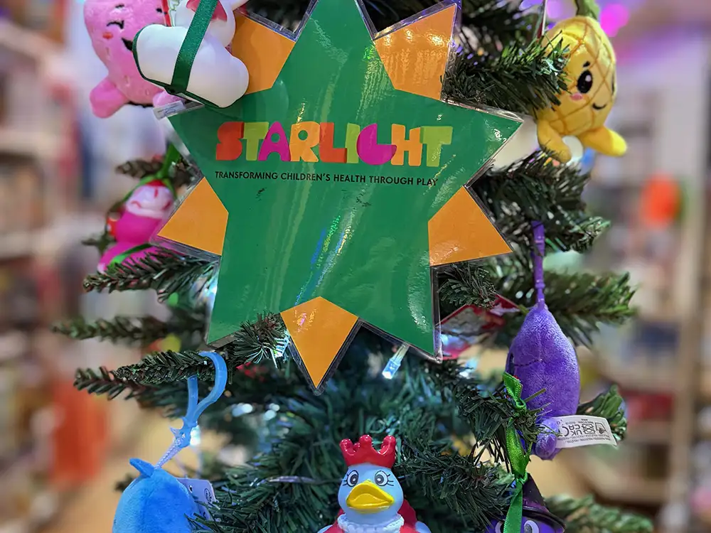 York toy shop launches festive charity campaign that is totally awesome