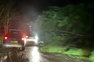 Updated: Fallen tree cleared from busy York road