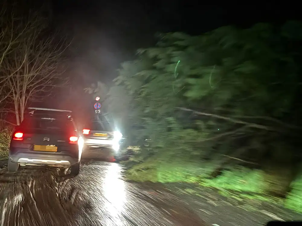 Updated: Fallen tree cleared from busy York road