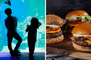 Mini golf, burgers, and sea life fun – last minute Christmas present ideas with YorkMix vouchers