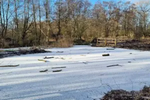 ‘Alarm’ at dangerous behaviour in York nature reserve