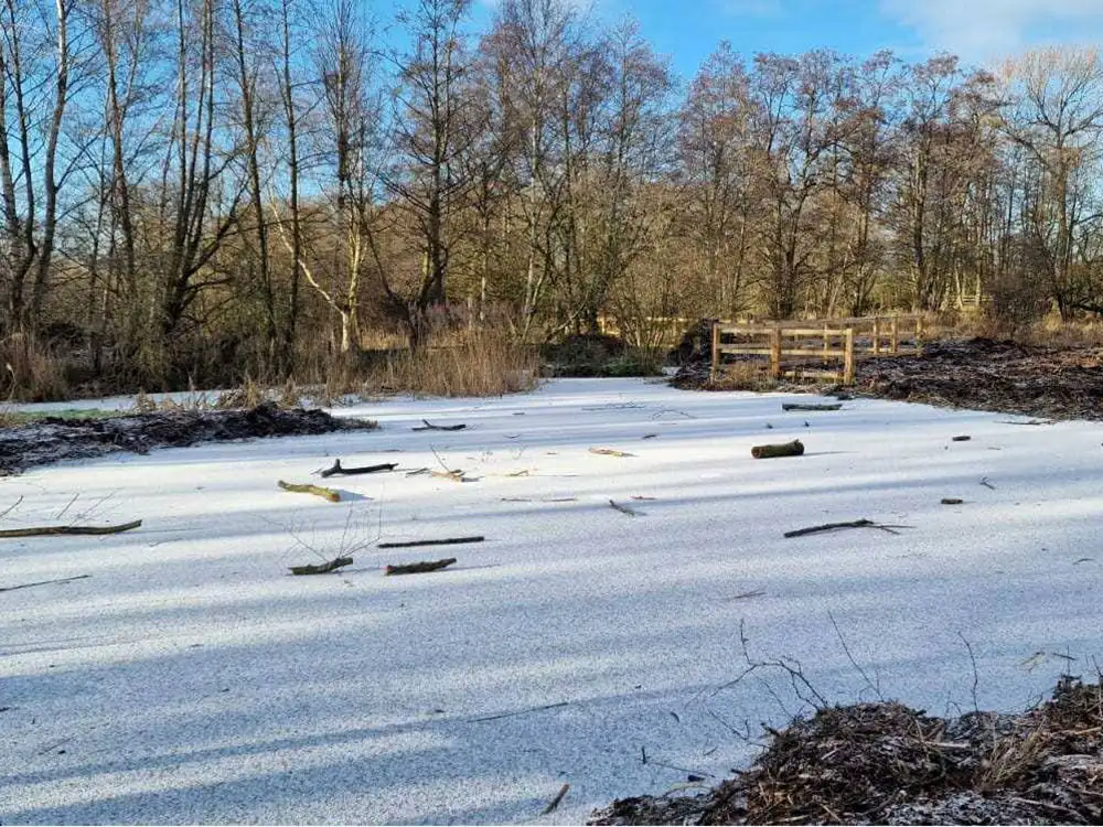 ‘Alarm’ at dangerous behaviour in York nature reserve