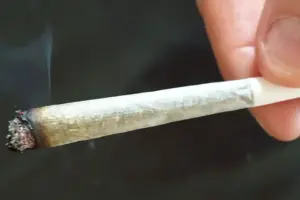 Youths suspected of smoking cannabis in village south of York