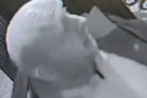 Police investigate theft at York pub