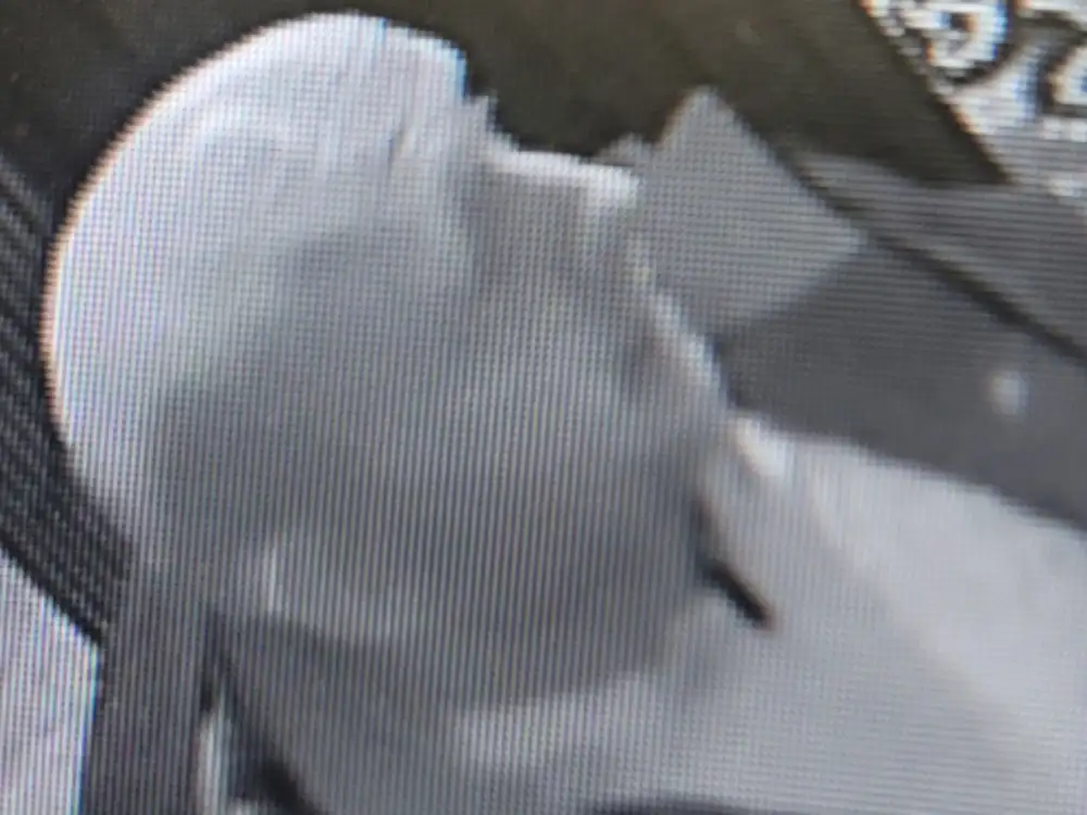 Police investigate theft at York pub
