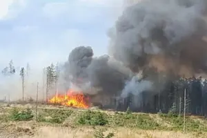 MP calls for government help following ‘devastating’ Langdale Moor blaze