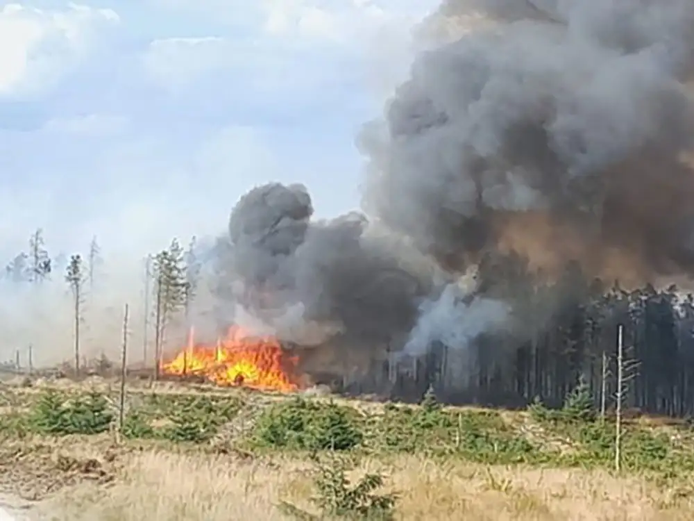 MP calls for government help following ‘devastating’ Langdale Moor blaze