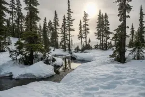 Health Habits That York Locals Are Embracing This Winter